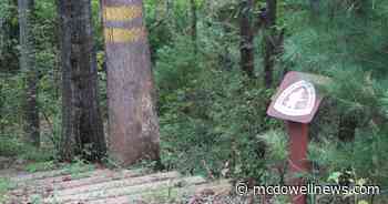 Nantahala-Pisgah Forest Partnership objects to forest service plan - McDowell News