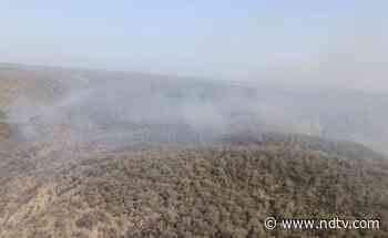 Fire In Forest Area Of Sariska Tiger Reserve Under Control: Authorities - NDTV