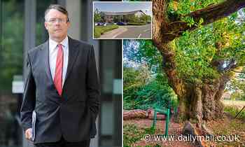 Earl of Cardigan goes to war with Forestry England over Savernake Forest plans - Daily Mail