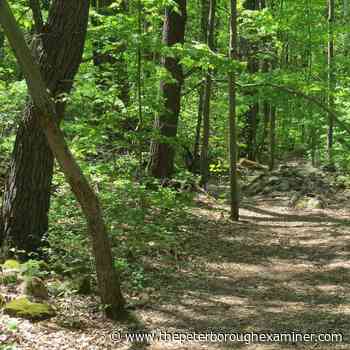 Ontario Parks recognizes Northumberland for county forest conservation practices - The Peterborough Examiner