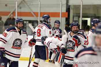 Bisons will play for Bronze in Wainwright - OkotoksOnline.com