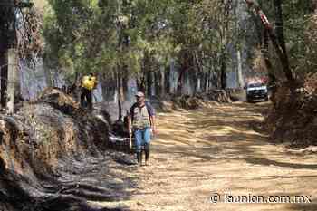 Liquidado al 100% incendio forestal en paraje 'El Alambrado', en Cuernavaca - Unión de Morelos