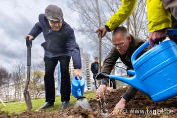 Den Winter-Temperaturen zu trotz: Vier weitere Apfelbäume in Chemnitz gepflanzt - TAG24