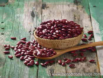 Los frijoles son alimentos libres de agroquímicos - Periódico Mensaje