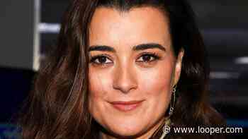 How Much Money Did Cote De Pablo Actually Make From NCIS? - Looper