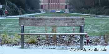 Elf junge Männer wegen Vergewaltigung einer 15-Jährigen im Hamburger Stadtpark vor Gericht