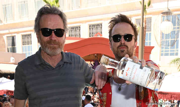 Breaking Bad's Bryan Cranston & Aaron Paul Partied Together in Vegas This Weekend!