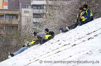 Wilder Müll in Leonberg - Frühjahrsputzete in der winterlichen Stadt - Leonberger Kreiszeitung