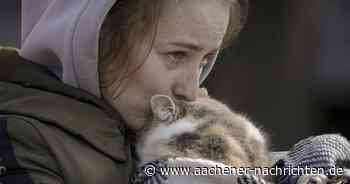 Flucht aus der Ukraine: „Mensch und Tier werden nicht getrennt“