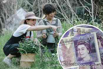 Groups can apply for 'Cash for community projects' in Cornwall - Falmouth Packet