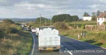Cornwall roadworks as Chiverton Cross delays continue and A39 traffic lights in place - Cornwall Live