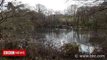 Free parking to continue at Cornwall's Tehidy Woods - BBC.com