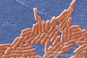 Kinder Surprise eggs recalled following salmonella outbreak - Ealing Times