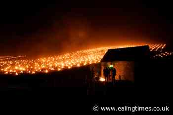Late frost ices over French vineyards and threatens fruit crops - Ealing Times