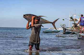 Agri industry groups press next admin to prioritize domestic food production | Jasper Y. Arcalas - BusinessMirror