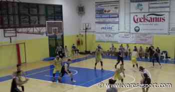 C GOLD – Gallarate, Busto, Gazzada e Saronno: poker di vittorie. Bene anche la Valceresio - VareseSport