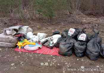 Ripulito Viale Danimarca dai rifiuti, nuova missione dei volontari di Gallarate - varesenews.it