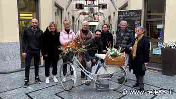 Gallarate, germogli di creatività e innocenza - Rete55 - Rete55