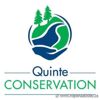 Quinte Conservation reroutes Potter's Creek Trail system due to invasive species damage - Napanee Today
