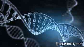 Breakthrough Discovery of New Model for “Global” DNA Repair