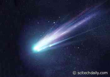 Distant Long-Period Comets Quickly Fade Away