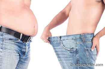 Gain Muscle Mass and Lose Fat: Can Weekly Prednisone Treat Obesity?