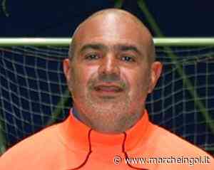 Malaspina: "Mancano ancora 8-10 punti all'AFC Fermo per la salvezza" - marcheingol.it