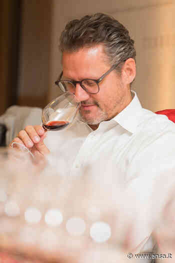 Vinitaly: nel tempio Bacco il fermo dealcolizzato Hofstätter - Terra & Gusto - Agenzia ANSA