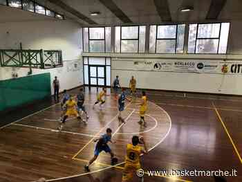 Inizia nel migliore dei modi la Fase Orologio del Basket Fermo - Serie D Regionale Fase Orologio Girone B - Basketmarche.it