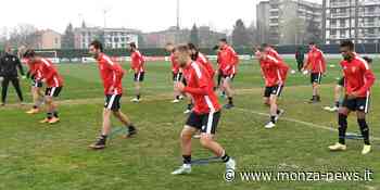 Diretta Live Como - Monza (dom. 3/4, ore 15:30), le probabili formazioni: Stroppa pensa ad un Monza offensivo, novità tra i lariani - Monza-News