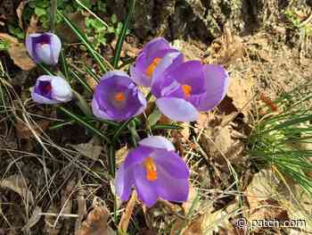 March Was Warmer, Drier Than Average In Rhode Island - Patch