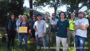 South Bathurst residents rally to halt removal of '100-year-old' trees - Western Advocate