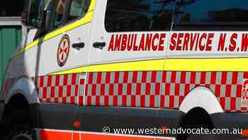 A man has been taken to Bathurst Base after a dog attack - Western Advocate