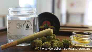 Cannabis causes more cancers than tobacco - Western Advocate