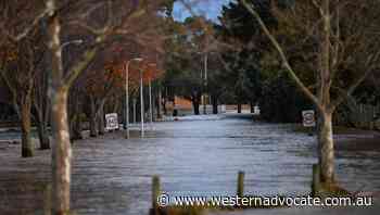 Victorian driver swept away in floodwaters - Western Advocate