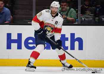 GAME NIGHT: Leafs vs. Panthers - Belleville Intelligencer