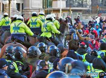 SIU ends probe into police horse interaction with Tyendinaga Mohawk woman - Belleville Intelligencer