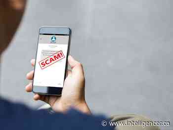 Farmgate: It's the season for increased scams - Belleville Intelligencer