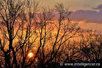 Free virtual Earth Day workshop funded by Belleville's Green Task Force - Belleville Intelligencer