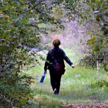 Section of Potter's Creek Orchard trail closed to visitors - Belleville Intelligencer
