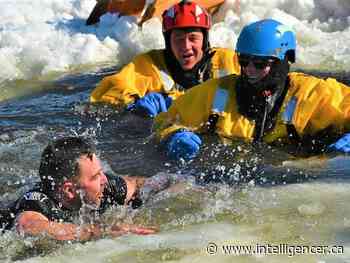 Polar Plunge for Special Olympics set for Friday - Belleville Intelligencer