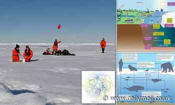 Plastic pollution in the ARCTIC is now as bad as anywhere else on Earth