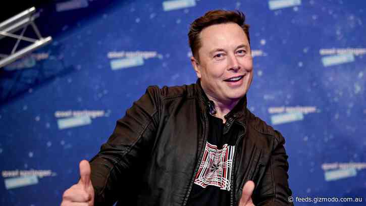 Elon Musk Buys Huge Stake in His Favourite Cursed Toy, Twitter