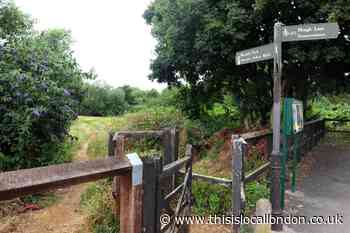 Wandle Park patrols begin as CCTV cameras to be installed