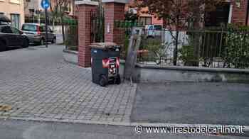 Baby gang Modena, "Urla e sassate alle finestre, esasperati" - il Resto del Carlino