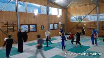 Faschingsfeier im Aiki-Dojo Sehnde - Sehnde - myheimat.de - myheimat.de