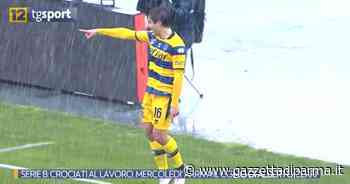 Mercoledì arriva il Como: il Parma deve mostrare continuità e progressi - Video - Gazzetta di Parma