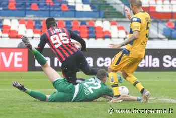 "Si deve tenere conto delle esigenze della Primavera" - Forza Parma