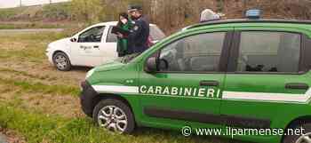 Parma, schiuma nel Canale Galasso: trovati sversamenti di liquame - Luca Galvani