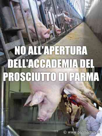 Associazioni animaliste di Parma: “No al Distretto del prosciutto di Parma Academy” - - ParmaDaily.it